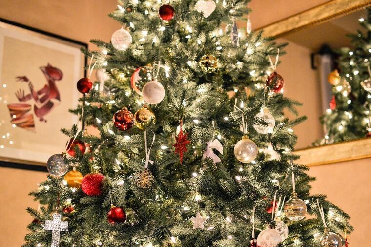 Árvore de Natal: conheça a origem da peça mais importante na decoração  natalina - Casa e Jardim