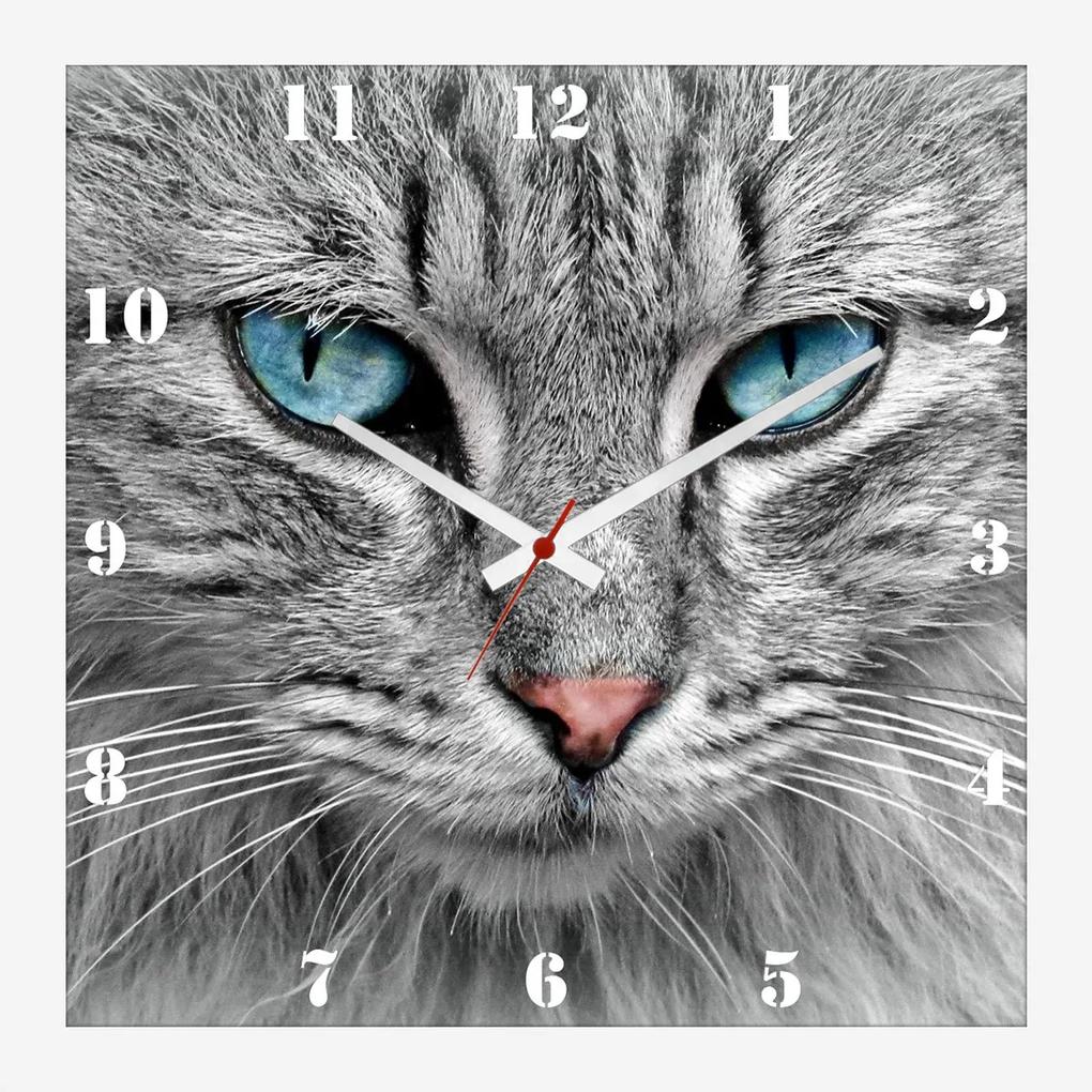 Relógio De Parede Personalizado Pet Cara De Gato 30x30cm