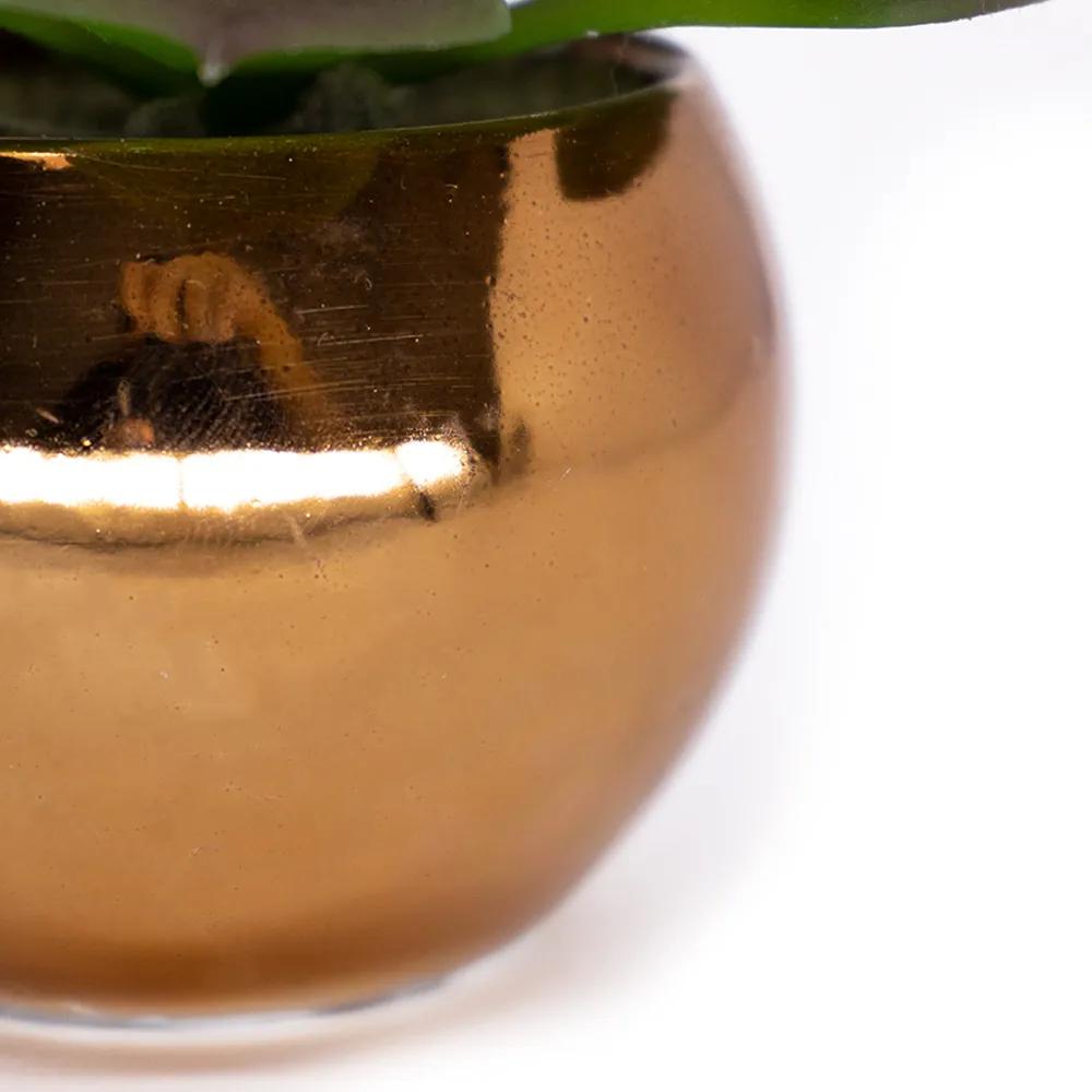 Vaso Decorativo Dourado com Suculenta Artificial Sedum Hirsutum 12x8 cm F04 - D'Rossi