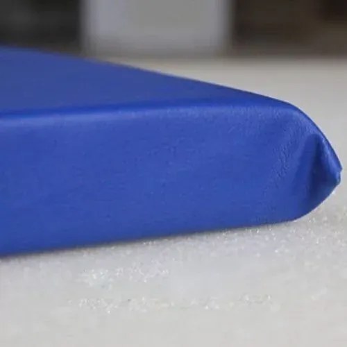 Colchonete 100 X 60 X 5 Com Espuma D20 Orthovida (Azul)