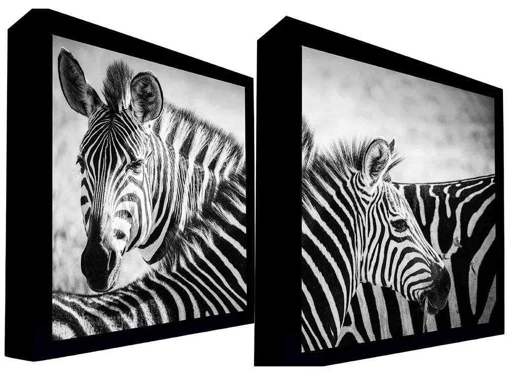 Conjunto de Quadros Decorativos 135x135 cm Zebra 022 com Moldura Laqueada Preto G64 - Gran Belo