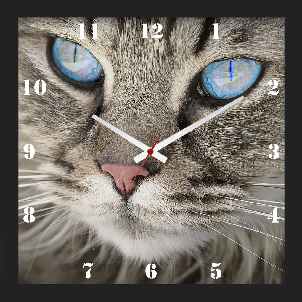 Relógio De Parede Personalizado Moldura Preta Pet Retrato De Gato 30x30cm