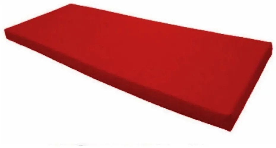 Colchonete Para Visita D20 180X55X5Cm Selo Inmetro Orthovida (Azul)