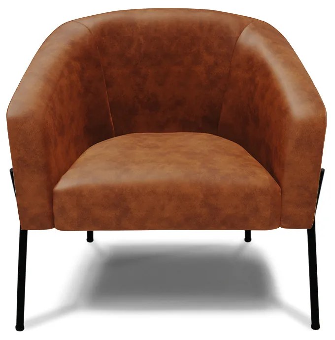 Poltrona Decorativa Pé de Ferro Preto Kit 2 Stella Sintético PU D03 - D'Rossi - Nozes