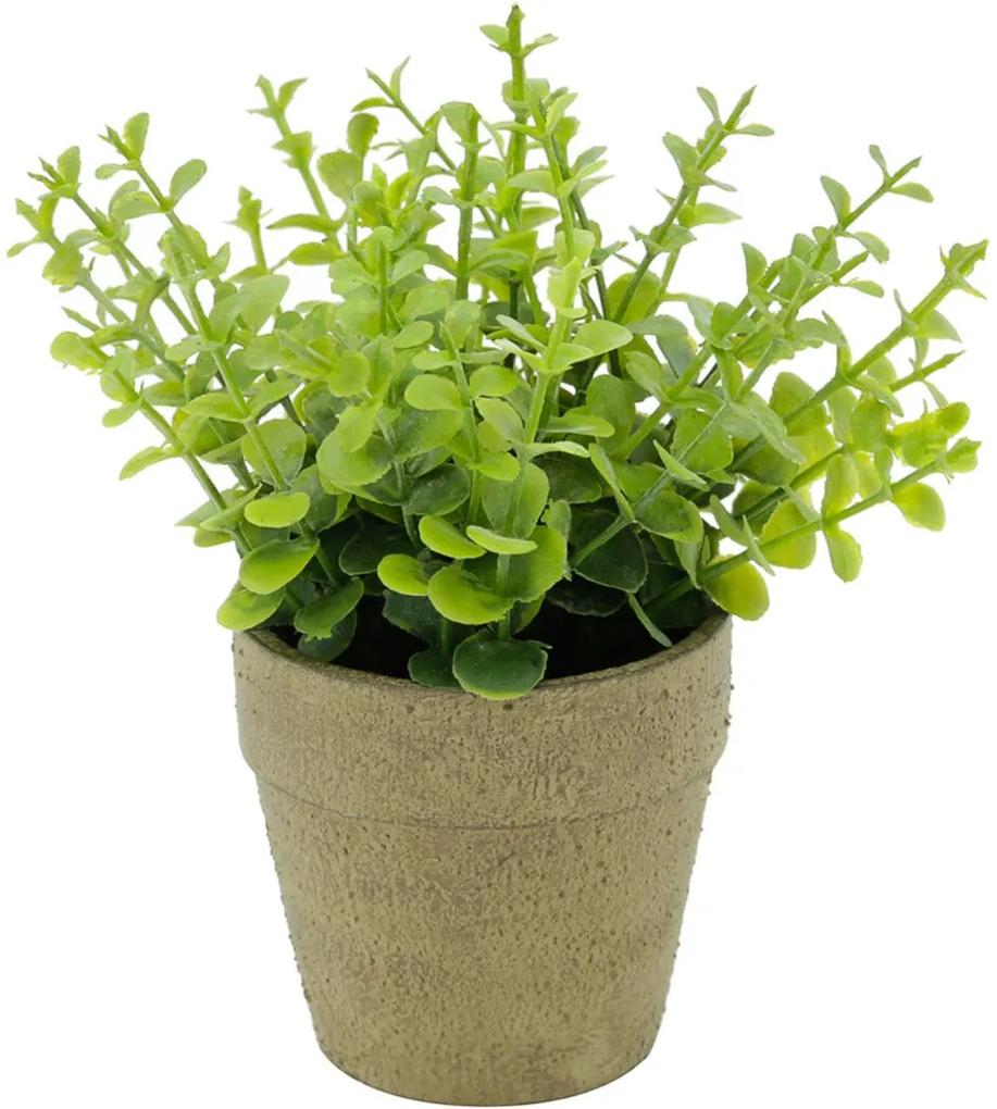 Mini Vaso Papel Sedum Sucullent Verde 15X15X16,5Cm Urban