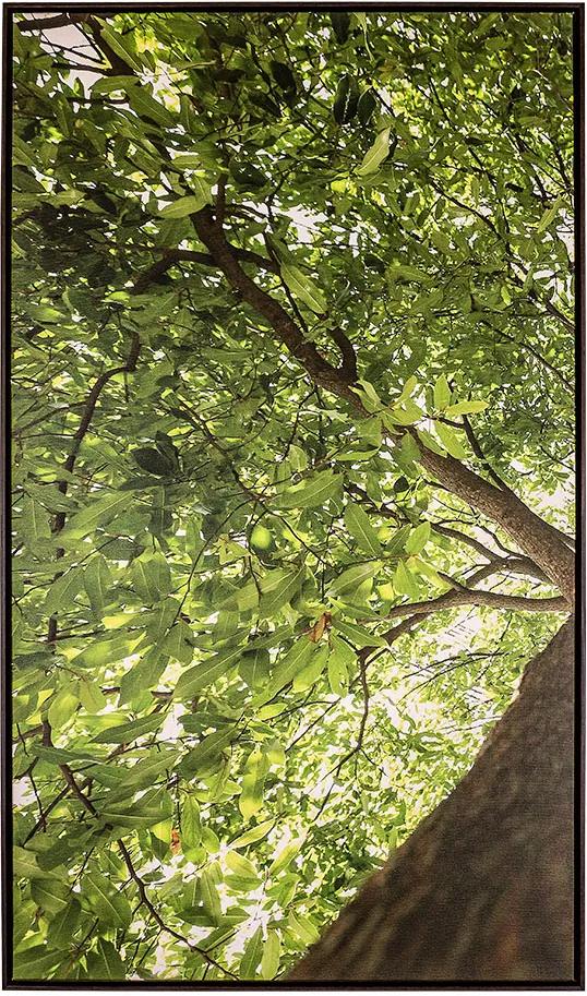 Tela Primavera I em Canvas - 80x140cm - Moldura Imbuia  Kleiner Schein