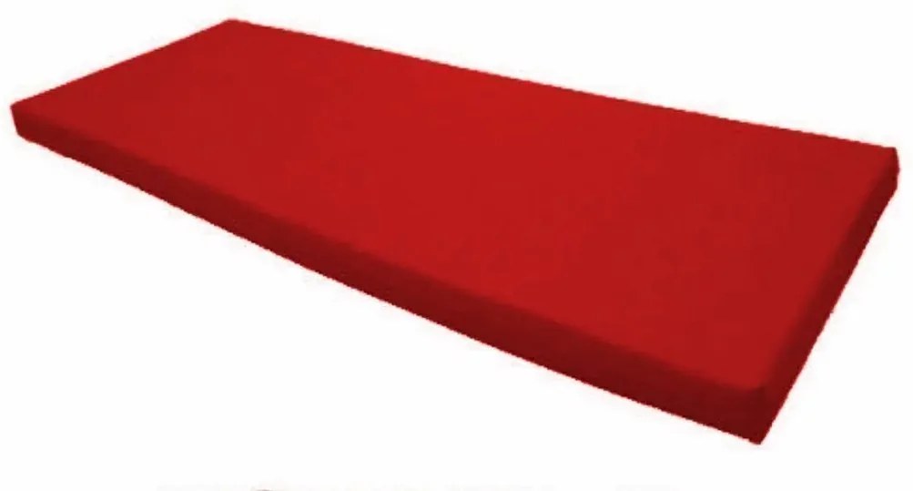 Colchonete Para Visita D33 180X70X5Cm Selo Inmetro Orthovida (Vermelho)