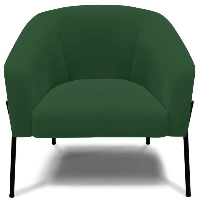 Poltrona Decorativa Pé de Ferro Preto Kit 2 Stella Veludo Verde D03 - D'Rossi