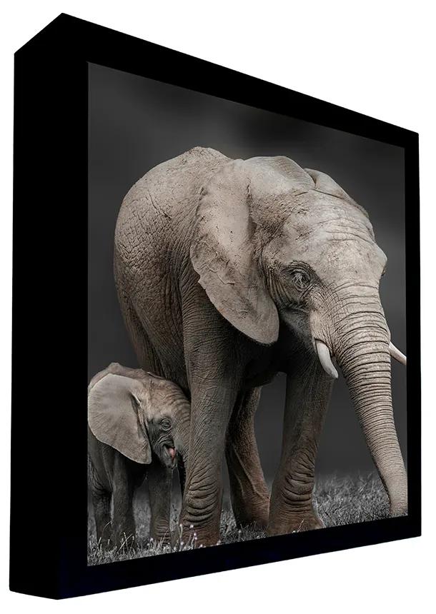 Quadro Decorativo 100x70 cm Elefante 015 com Moldura Laqueada Preto G64 - Gran Belo