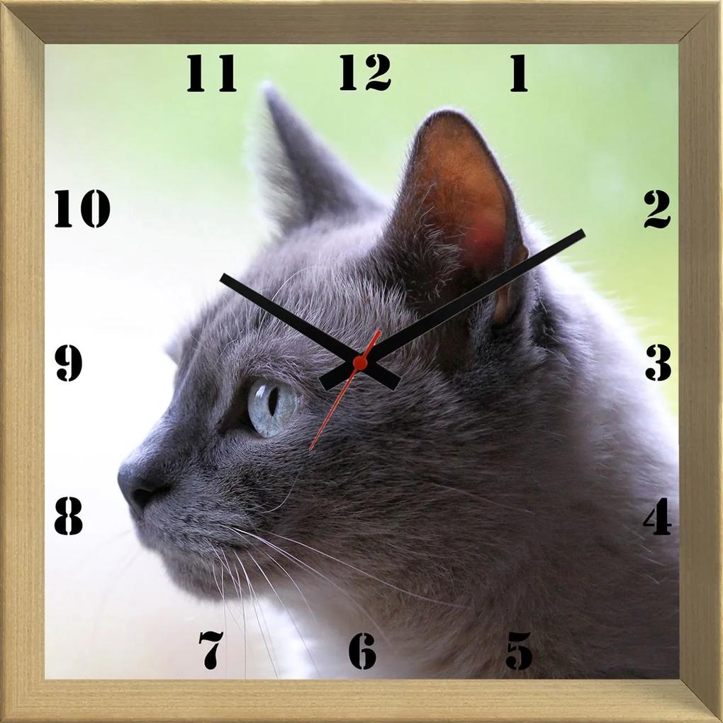 Relógio De Parede Criativo Pet Gato Cinza De Olhos Azuis 30x30cm