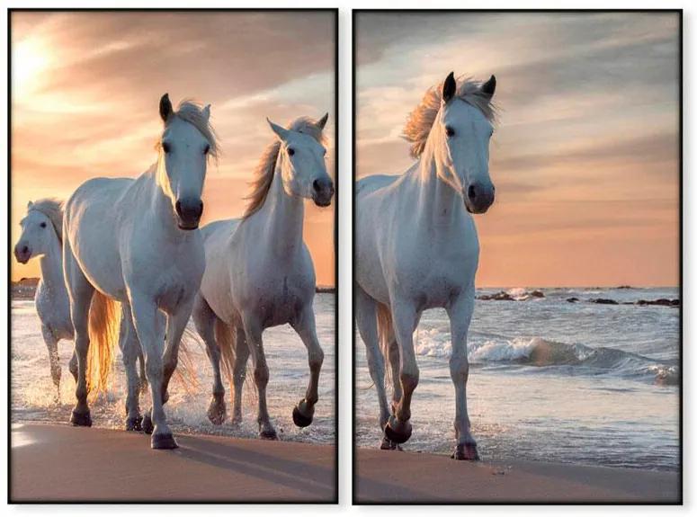 Conjunto de Quadros Cavalos Branco Correndo na Praia