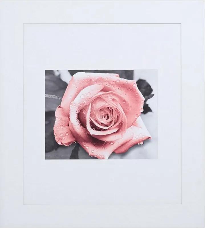 Quadro Decorativo Flor Rosa Molhada Com Moldura Branca 90x100cm