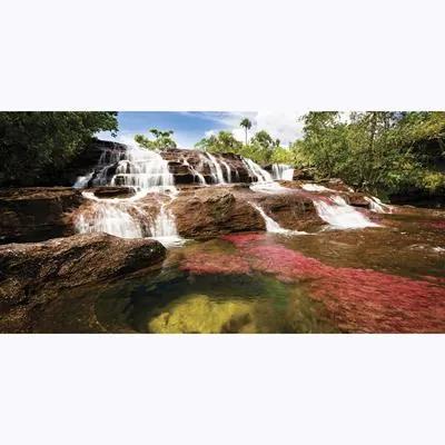 Painel Fotográfico Cachoeira No Rio Cristales Vermelho, Colômbia