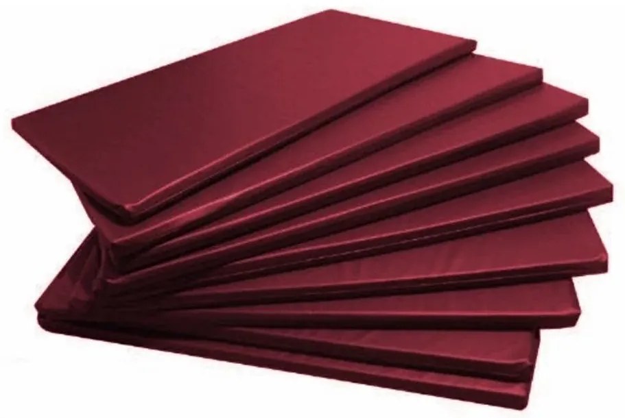 15 Colchonetes Academia- Escolas- Creches 100X60X3 Orthovida (Bord�)
