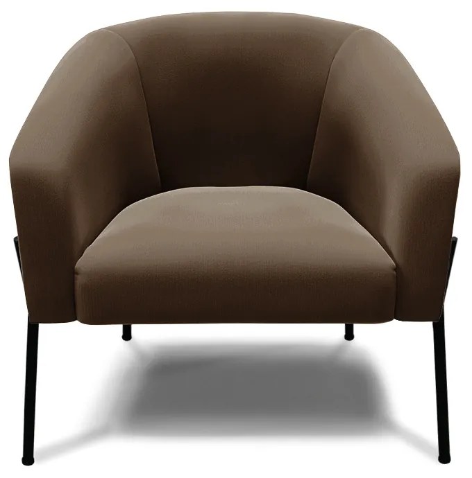 Poltrona Decorativa Pé de Ferro Preto Kit 2 Stella Suede D03 - D'Rossi - Marrom