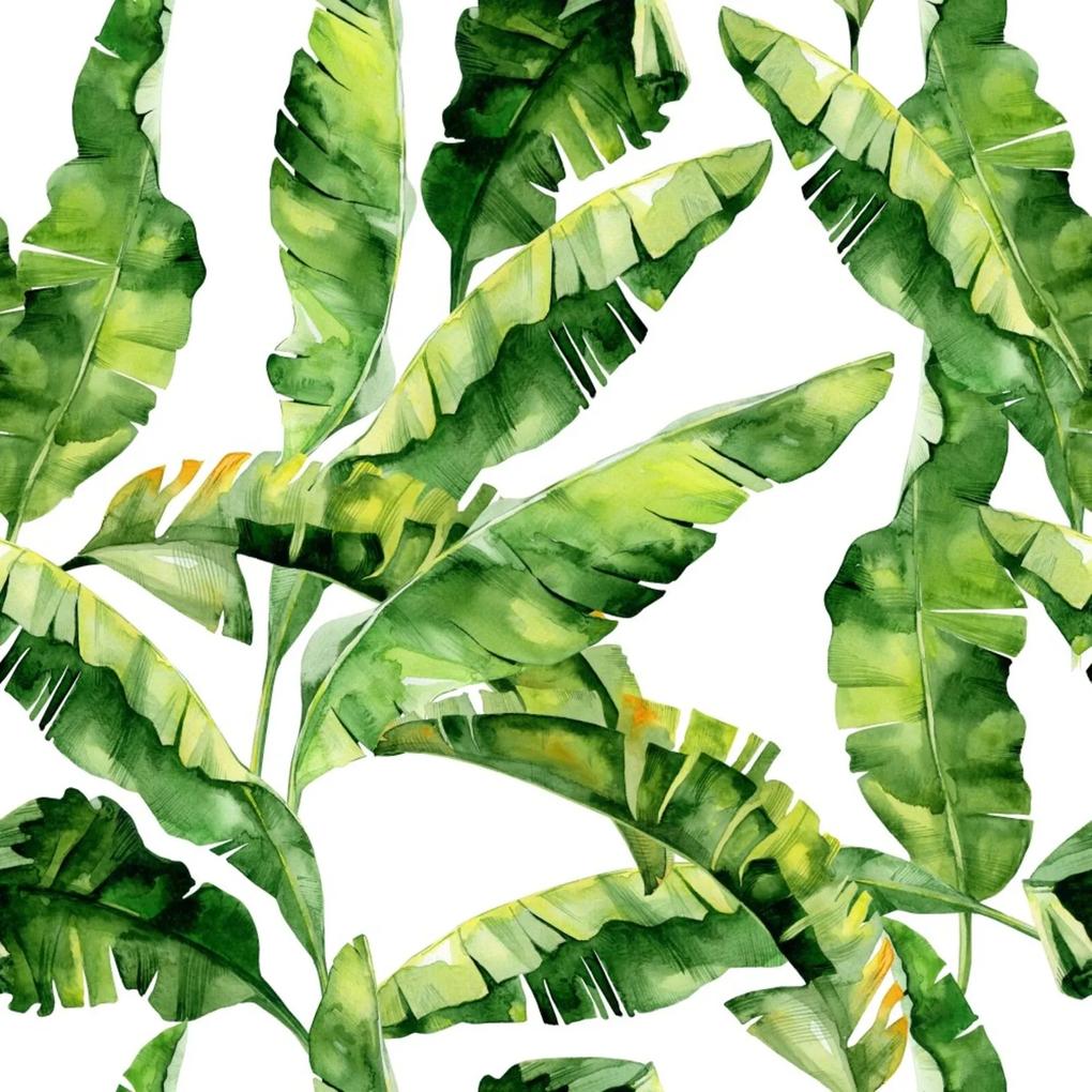 Papel de Parede StickDecor Adesivo Folhas de Bananeira