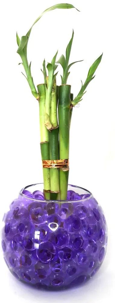 Vaso em Vidro com 5 Hastes de Bambu da Sorte