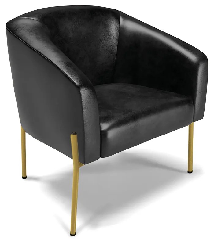 Poltrona Decorativa Pé de Ferro Dourado Kit 2 Stella Sintético PU D03 - D'Rossi - Preto