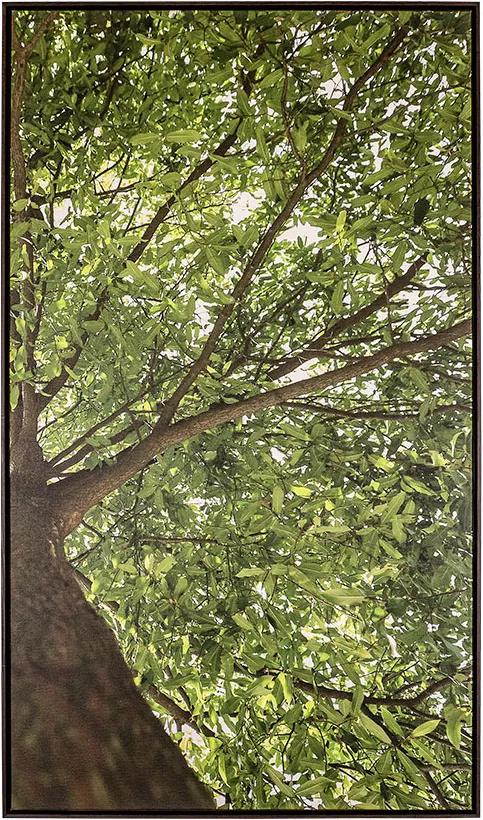 Tela Primavera II em Canvas - 70x120cm - Moldura Imbuia  Kleiner Schein