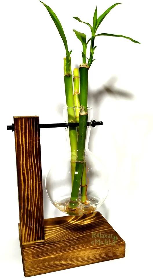 Suporte em Madeira e Vaso Pendente com Bambu da Sorte (3 Hastes)