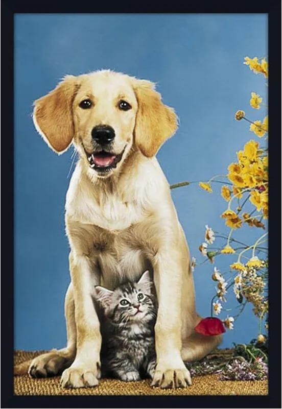 Quadro Decorativo Poster Pets Cachorro E Gato 60x90cm
