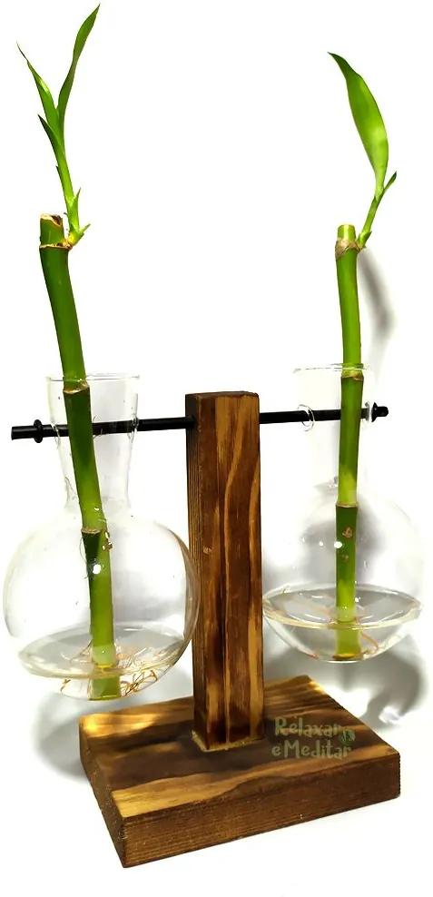 Suporte Duplo em Madeira e Vaso Pendente com Bambu da Sorte