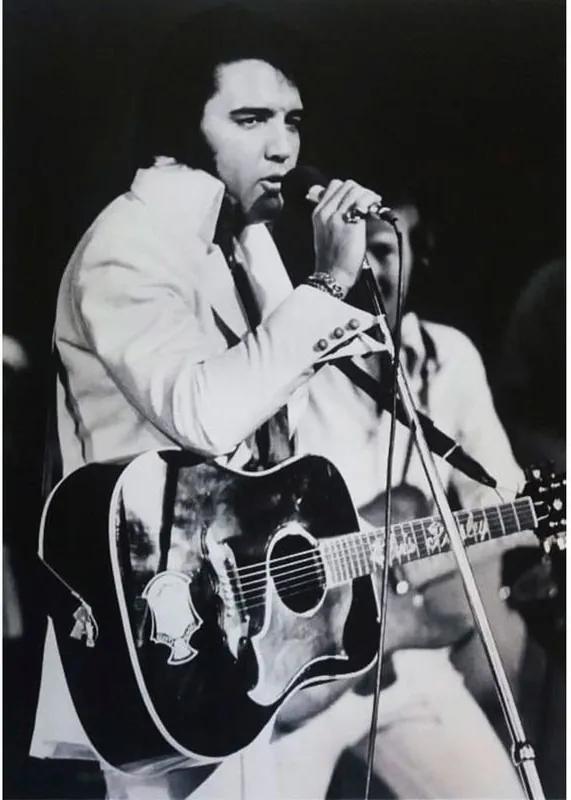 Quadro Tela Elvis Presley My Way