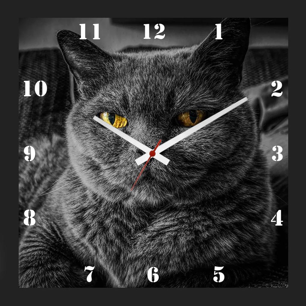 Relógio De Parede Personalizado Moldura Preta Pet Gato Chartreux 30x30cm