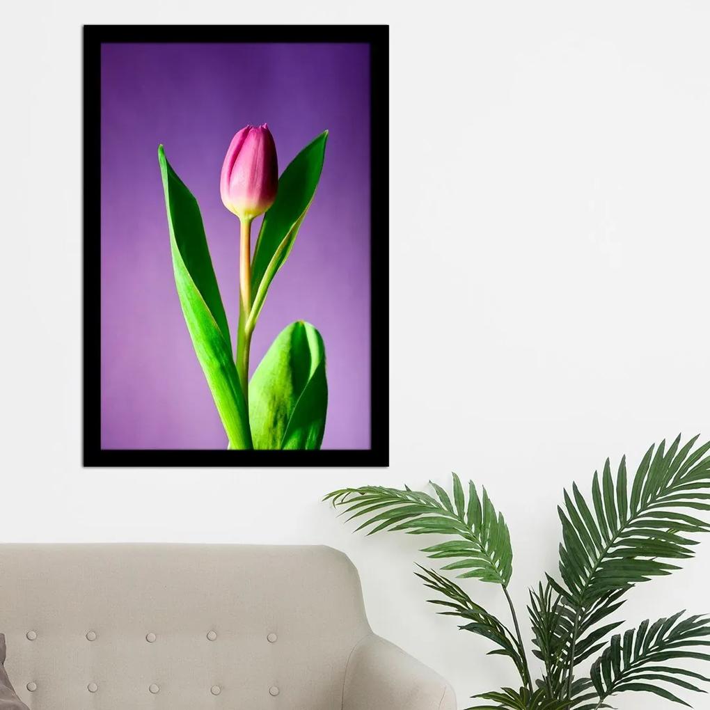 Quadro Emoldurado Tulipa Roxo 40x60cmPreto