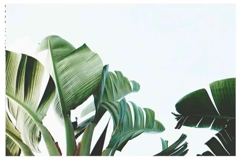 Quadro Decorativo Folhas de Bananeira - KF 49179 40x60 (Moldura 520)
