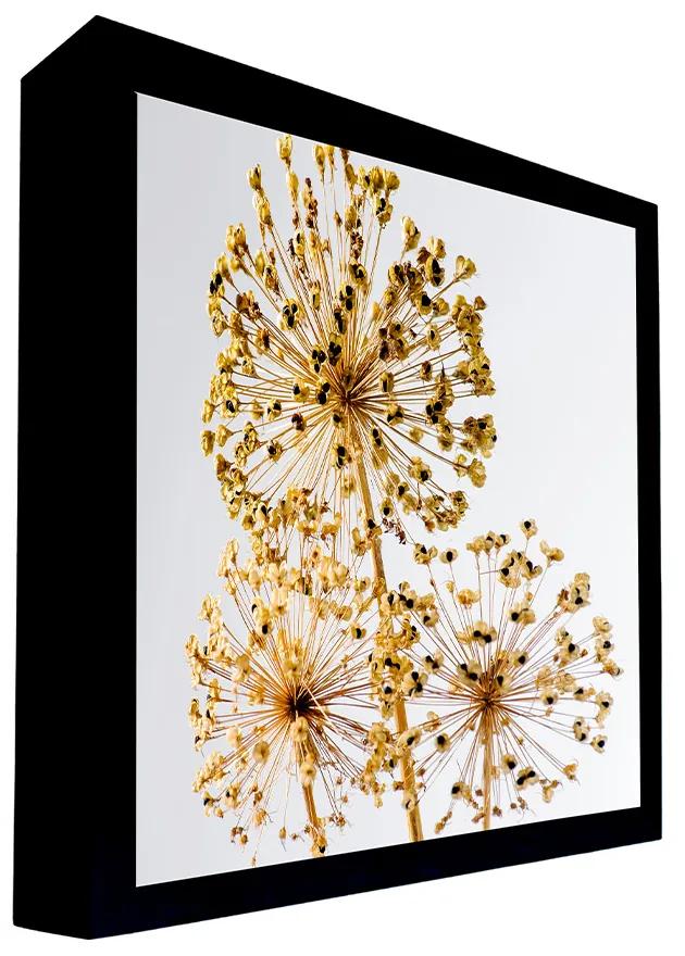 Quadro Decorativo 50x70 cm Flor 020 com Moldura Laqueada Preto - Gran Belo