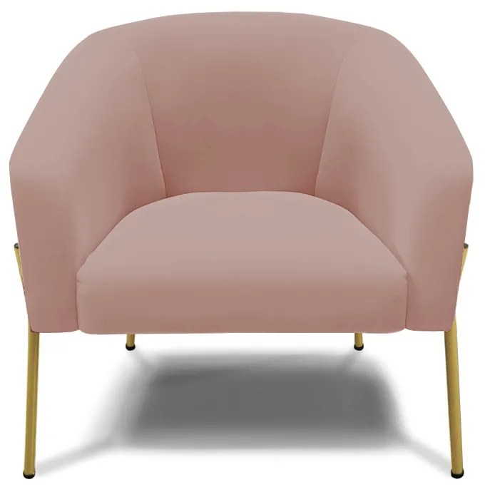 Poltrona Decorativa Pé de Ferro Dourado Kit 2 Stella Veludo D03 - D'Rossi - Rose