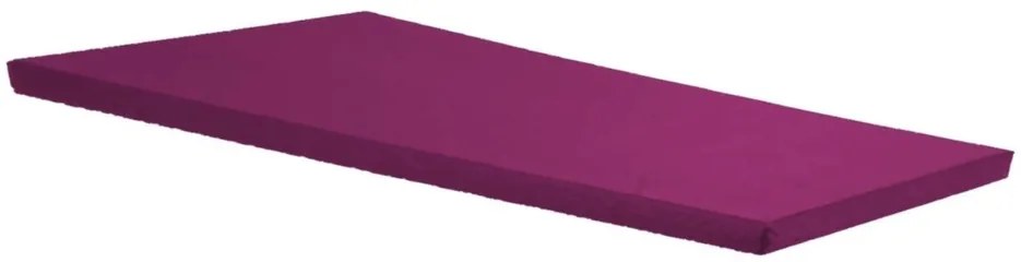 Colchonete Pra Visita D20 Selo Inmetro Orthovida Frete 0800 (Vermelho)