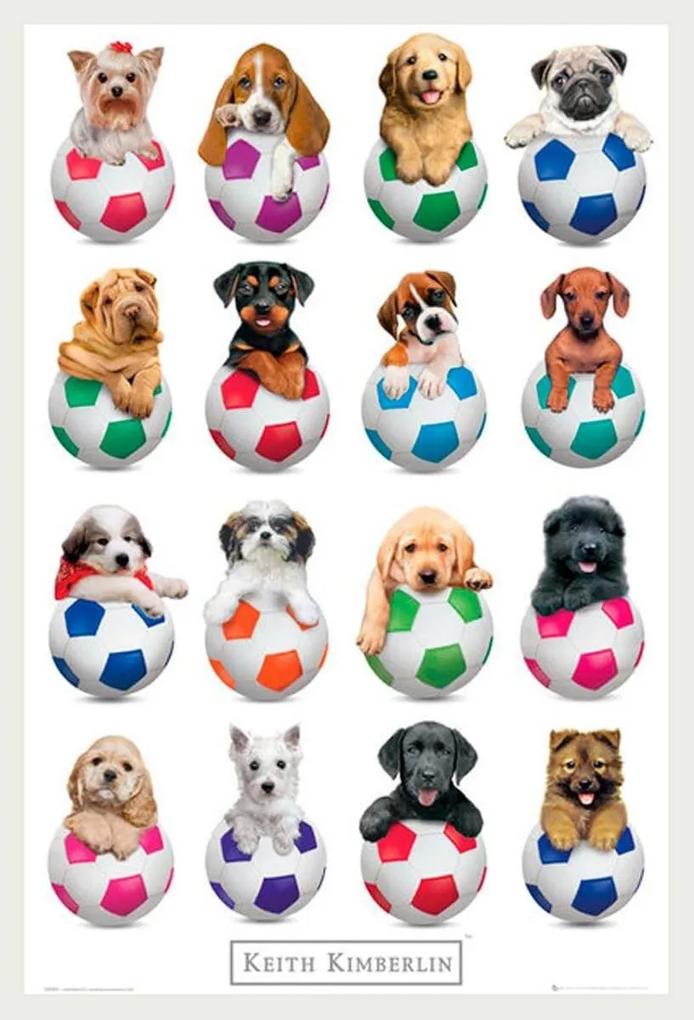 Poster Com Moldura Branca Cachorros Filhotes Em Bolas De Futebol 60x90cm
