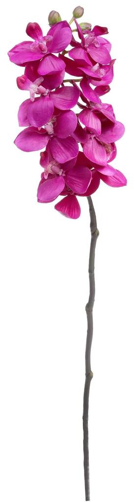 Haste de Orquídea Phalaen Fúcsia