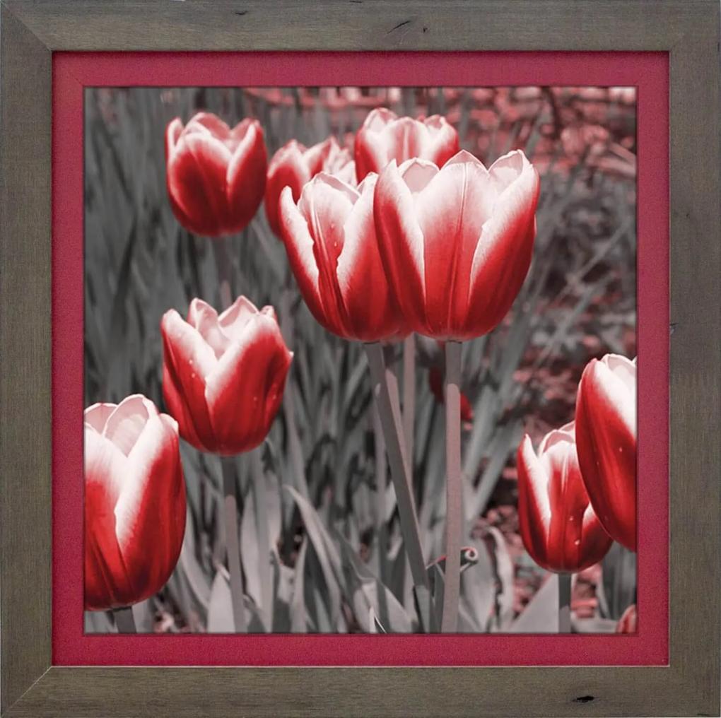 Quadro Decorativo Floral Tulipas Vermelhas Ii 35x35cm