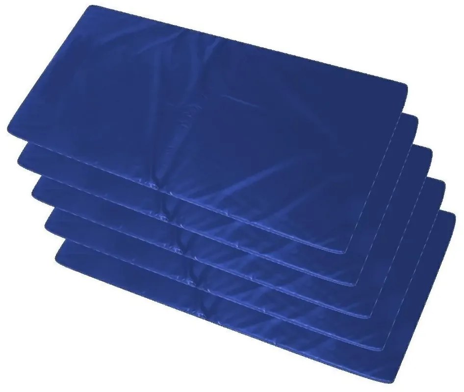 Kit 5 Colchonetes Para Ginástica, Academia 100 X 50 X 3 Cm - Orthovida (Bordô)