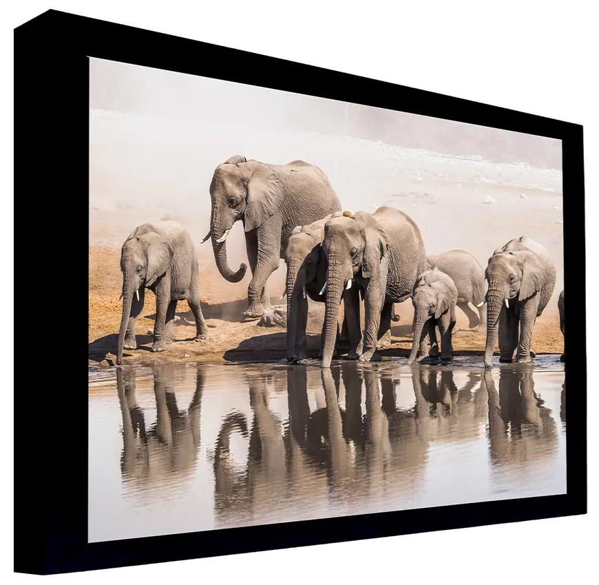 Quadro Decorativo 100x70 cm Elefante 060 com Moldura Laqueada Preto G64 - Gran Belo
