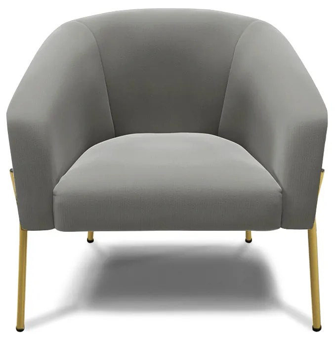 Poltrona Decorativa Pé de Ferro Dourado Kit 2 Stella Suede D03 - D'Rossi - Grafite