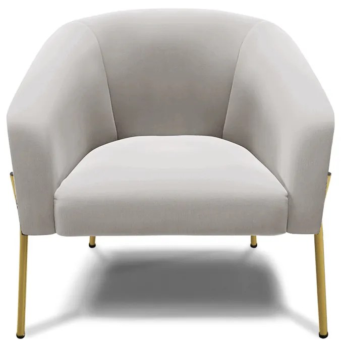 Poltrona Decorativa Pé de Ferro Dourado Kit 2 Stella Veludo D03 - D'Rossi - Cinza