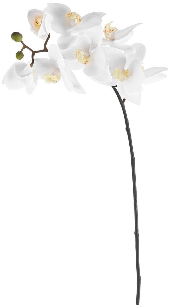 Haste Orquidea Phalaenopsis C/ 8 flores Toque Real C/ Folhas 70cm - Branco