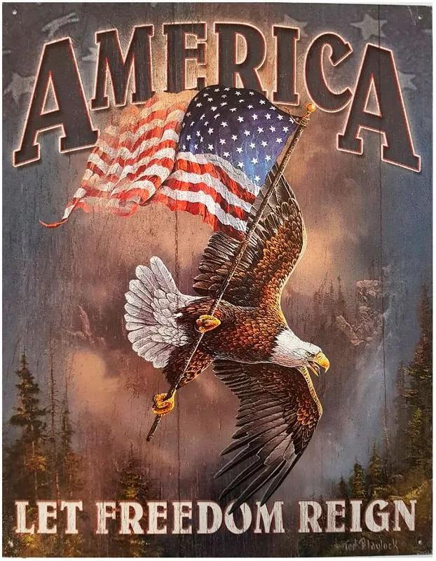 Placa De Metal America Aguia Da Liberdade