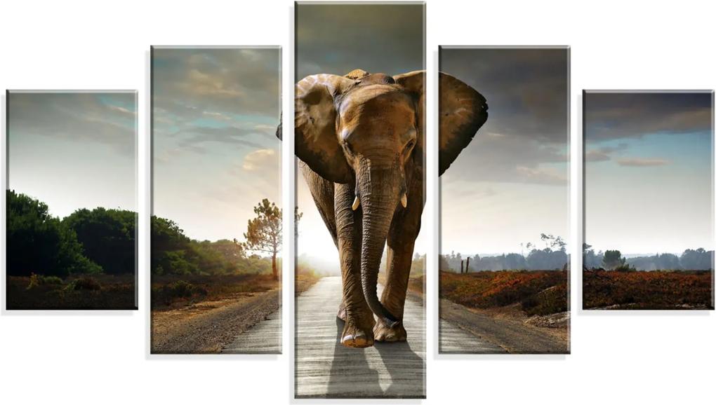 Conjunto de 5 Telas Wevans Decorativas em Canvas 90x160 Elephant Multicolorido