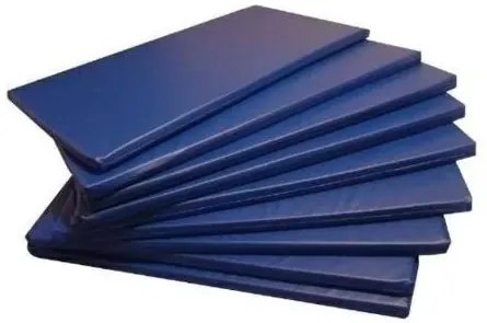Colchonetes D33 Auxiliar Dobr�Vel Orthovida 140X48X4Cm