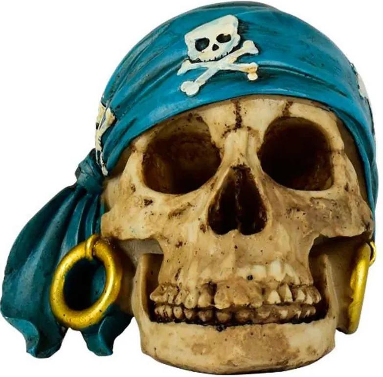 Caveira Decorativa Pirata Bandana Azul