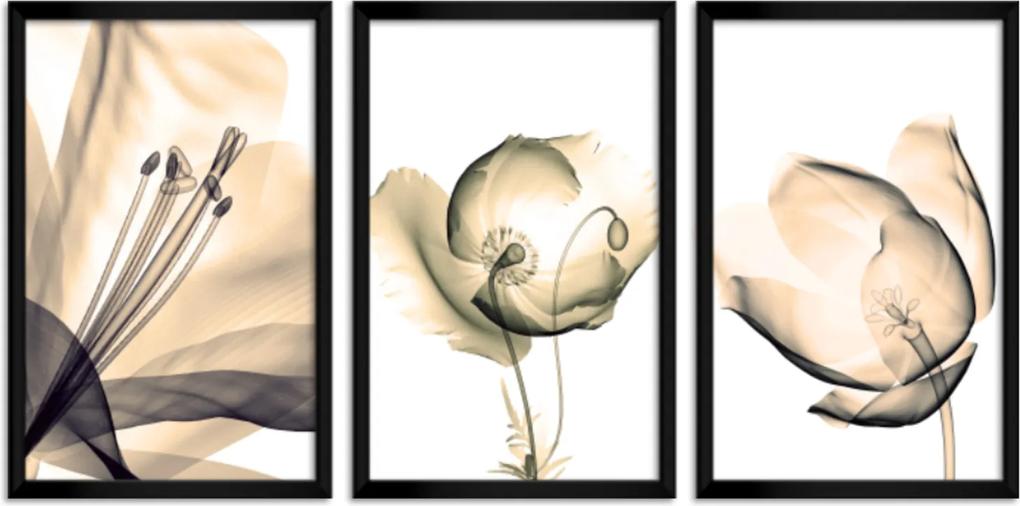 Quadro Oppen House 60x120cm Flores Abstrato Transparentes Moldura Preta Estilo Raio-x Decorativo Interiores Mod:OH003