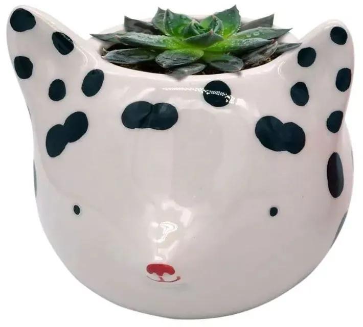 Cachepot Vaso Decorativo de Cerâmica - Fox With Dots