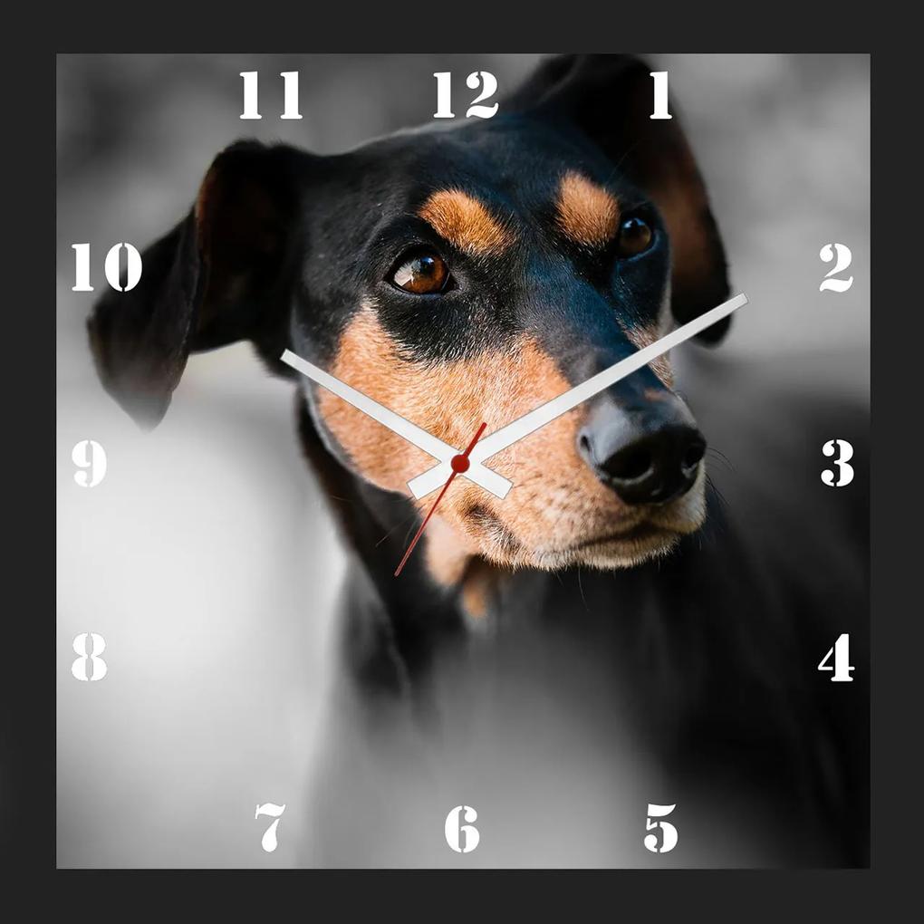 Relógio De Parede Personalizado Cachorro Pinscher 30x30cm