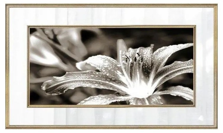 Quadro Decorativo Lírio Tons de Cinza 2 - FR 47688
