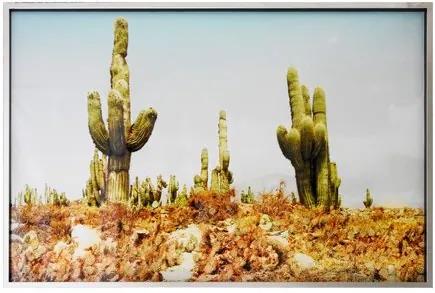 Quadro com Cristal Gravura Cactus 80 cm x 120 cm